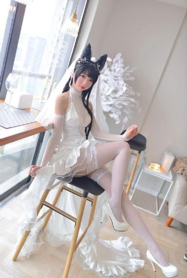 服从电影在线观看_无广告免费播放高清电影